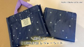 LEAFLETS（リーフレッツ）レジャーシートのレビュー記事です